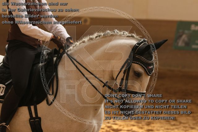 s_IMG_1245.JPG